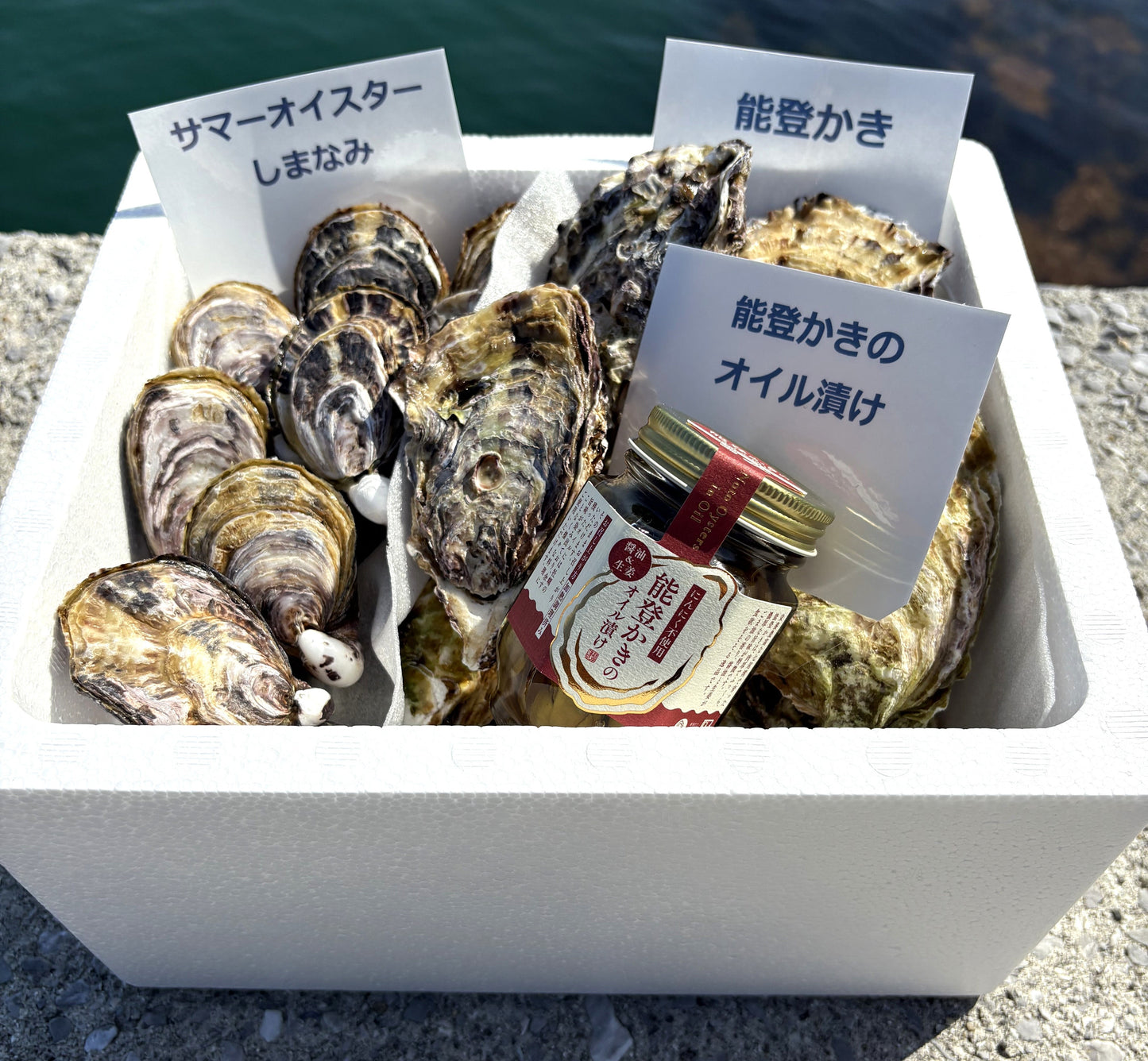 【食べ比べ】サマーオイスターと能登かき 計20個 ＆ 能登かきのオイル漬け１瓶