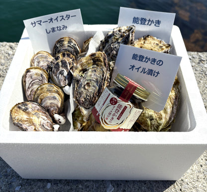 【食べ比べ】サマーオイスターと能登かき 計20個 ＆ 能登かきのオイル漬け１瓶