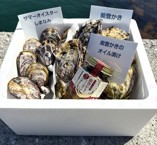 【食べ比べ】サマーオイスターと能登かき 計20個 ＆ 能登かきのオイル漬け１瓶