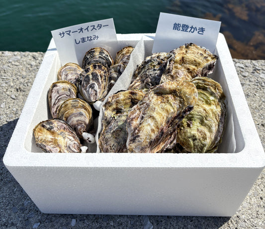 【食べ比べ】サマーオイスターと能登かき 計20個
